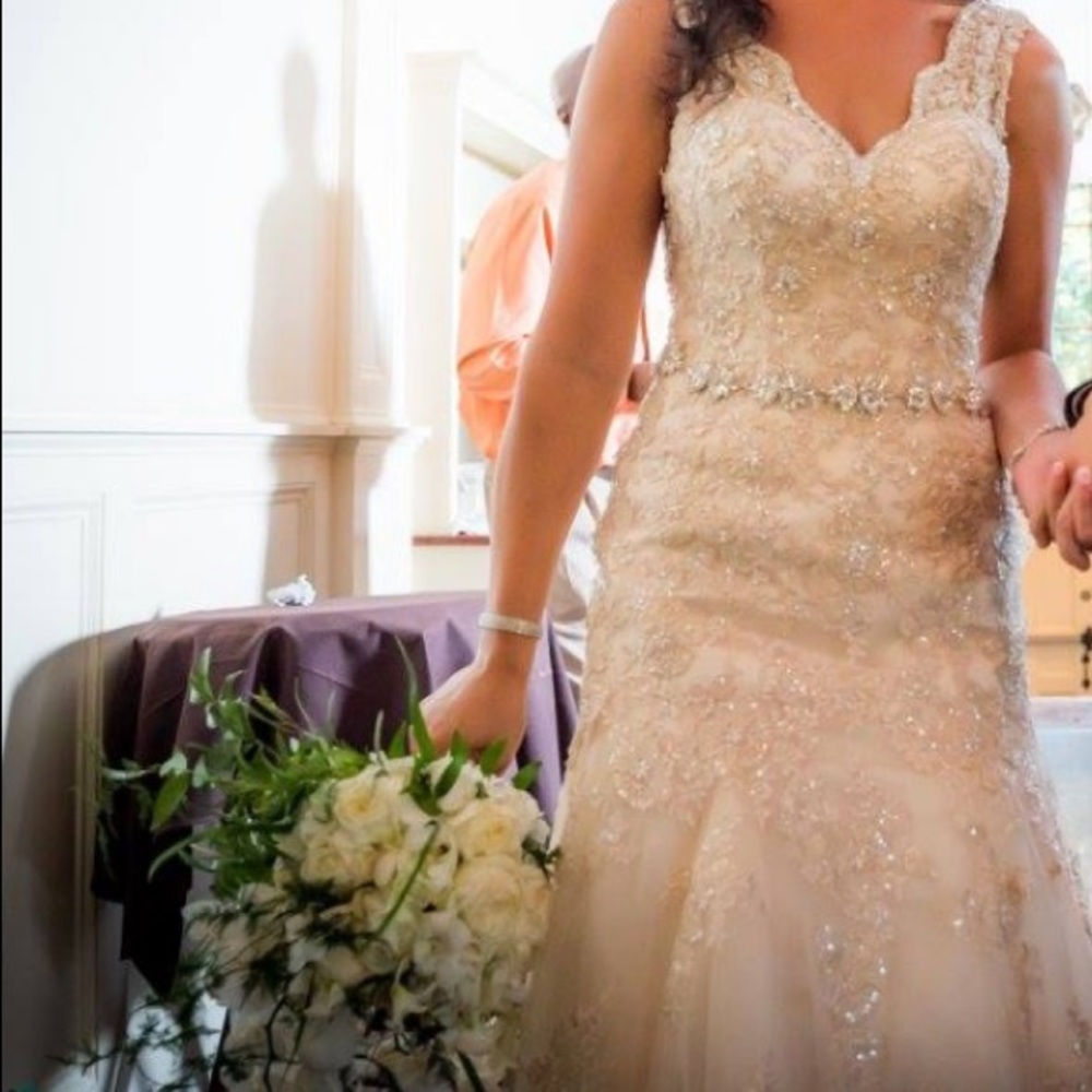 Stella York Wedding Dress - Picture 6 of 6